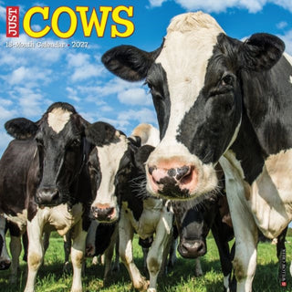 Cover image for 9781549259913 - Cows 2027 Wall