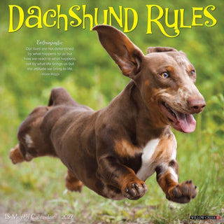 Cover image for 9781549259951 - Dachshund Rules 2027 Wall
