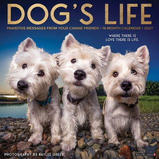 Cover image for 9781549260049 - Dog's Life 2027 Wall