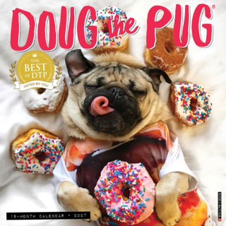 Cover image for 9781549260063 - Doug the Pug 2027 Wall