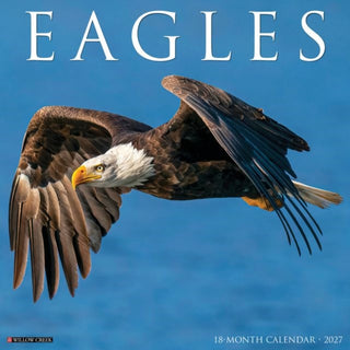 Cover image for 9781549260087 - Eagles 2027 Wall