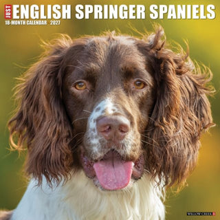 Cover image for 9781549260094 - English Springer Spaniels 2027 Wall