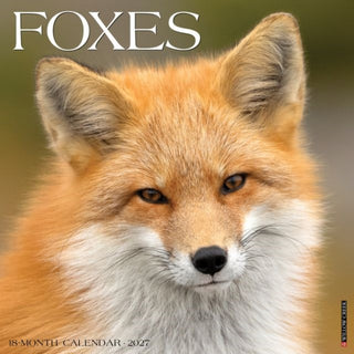 Cover image for 9781549260278 - Foxes 2027 Wall