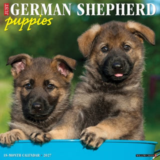 Cover image for 9781549260360 - German Shepherd Puppies 2027 Wall
