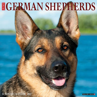 Cover image for 9781549260377 - German Shepherds 2027 Wall