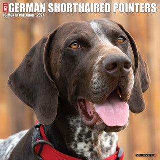 Cover image for 9781549260384 - German Shorthaired Pointers 2027 Wall
