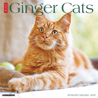Cover image for 9781549260414 - Ginger Cats 2027 Wall