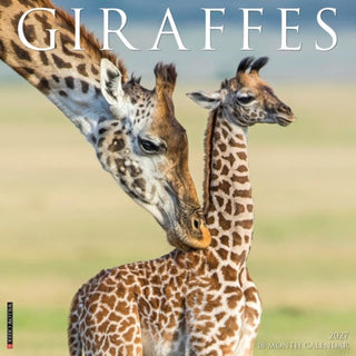 Cover image for 9781549260421 - Giraffes 2027 Wall