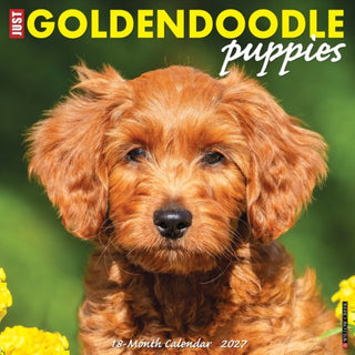 Cover image for 9781549260452 - Goldendoodle Puppies 2027 Wall