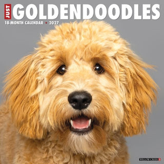 Cover image for 9781549260469 - Goldendoodles 2027 Wall