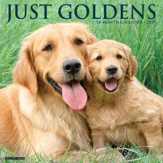 Cover image for 9781549260476 - Goldens 2027 Wall