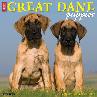 Cover image for 9781549260520 - Great Dane Puppies 2027 Wall