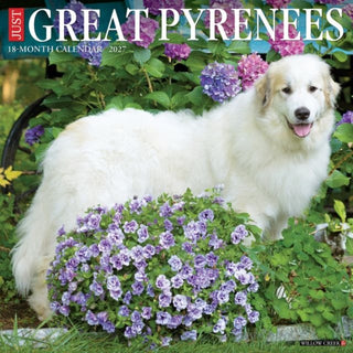 Cover image for 9781549260551 - Great Pyrenees 2027 Wall
