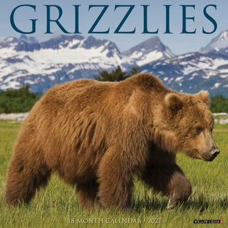 Cover image for 9781549260575 - Grizzlies 2027 Wall