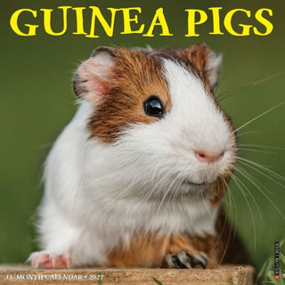 Cover image for 9781549260582 - Guinea Pigs 2027 Wall