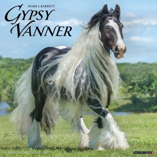 Cover image for 9781549260599 - Gypsy Vanner Horse 2027 Wall
