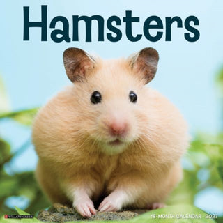 Cover image for 9781549260612 - Hamsters 2027 Wall