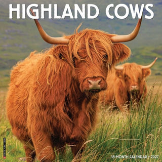 Cover image for 9781549260667 - Highland Cows 2027 Wall