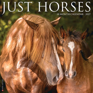 Cover image for 9781549260704 - Horses 2027 Wall