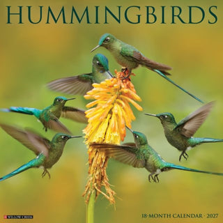Cover image for 9781549260728 - Hummingbirds 2027 Wall