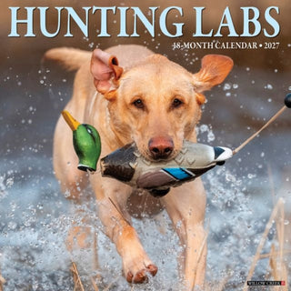 Cover image for 9781549260742 - Hunting Labs 2027 Wall