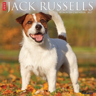 Cover image for 9781549260834 - Jack Russells 2027 Wall