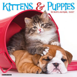 Cover image for 9781549260940 - Kittens & Puppies 2027 Wall