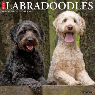 Cover image for 9781549260971 - Labradoodles 2027 Wall