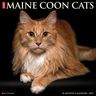 Cover image for 9781549261121 - Maine Coon Cats 2027 Wall