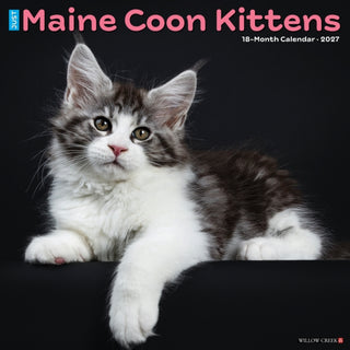 Cover image for 9781549261138 - Maine Coon Kittens 2027 Wall