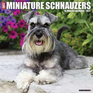 Cover image for 9781549261220 - Miniature Schnauzers 2027 Wall