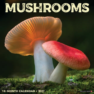 Cover image for 9781549261374 - Mushrooms 2027 Wall