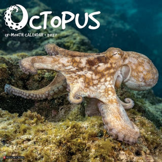 Cover image for 9781549261596 - Octopus 2027 Wall