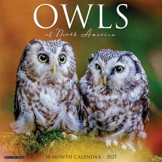 Cover image for 9781549261664 - Owls of North America 2027 Wall