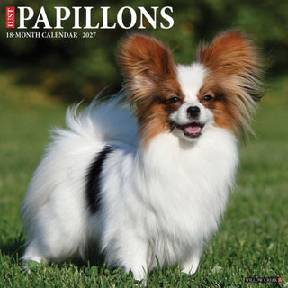 Cover image for 9781549261718 - Papillons 2027 Wall