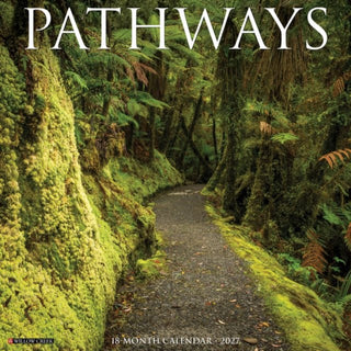 Cover image for 9781549261749 - Pathways 2027 Wall