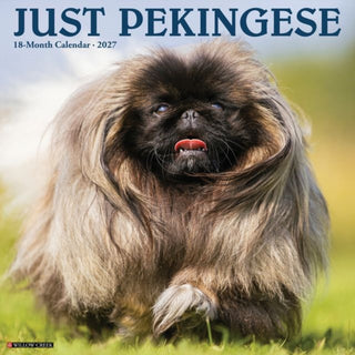Cover image for 9781549261763 - Pekingese 2027 Wall
