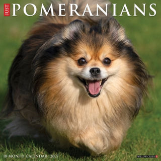 Cover image for 9781549261855 - Pomeranians 2027 Wall