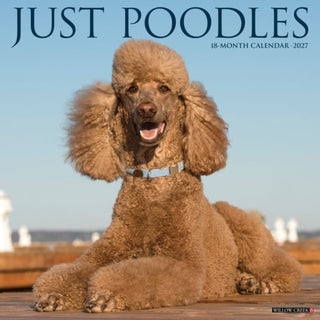 Cover image for 9781549261879 - Poodles 2027 Wall