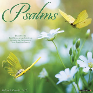 Cover image for 9781549261916 - Psalms 2027 Wall