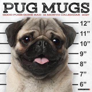 Cover image for 9781549261923 - Pug Mugs 2027 Wall