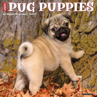 Cover image for 9781549261930 - Pug Puppies 2027 Wall