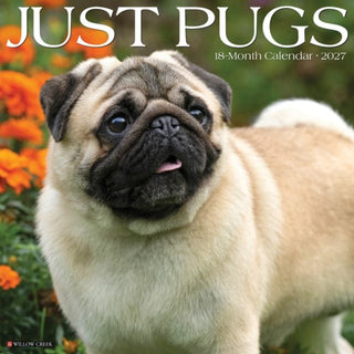 Cover image for 9781549261947 - Pugs 2027 Wall