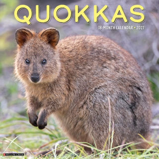 Cover image for 9781549261978 - Quokkas 2027 Wall
