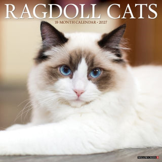 Cover image for 9781549261985 - Ragdoll Cats 2027 Wall