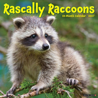 Cover image for 9781549262029 - Rascally Raccoons 2027 Wall