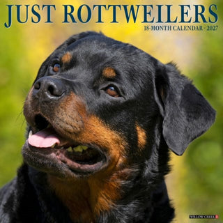 Cover image for 9781549262104 - Rottweilers 2027 Wall