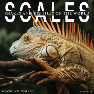 Cover image for 9781549262159 - Scales 2027 Wall