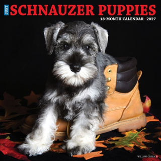 Cover image for 9781549262173 - Schnauzer Puppies 2027 Wall