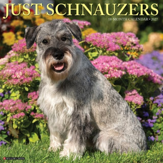 Cover image for 9781549262180 - Schnauzers 2027 Wall